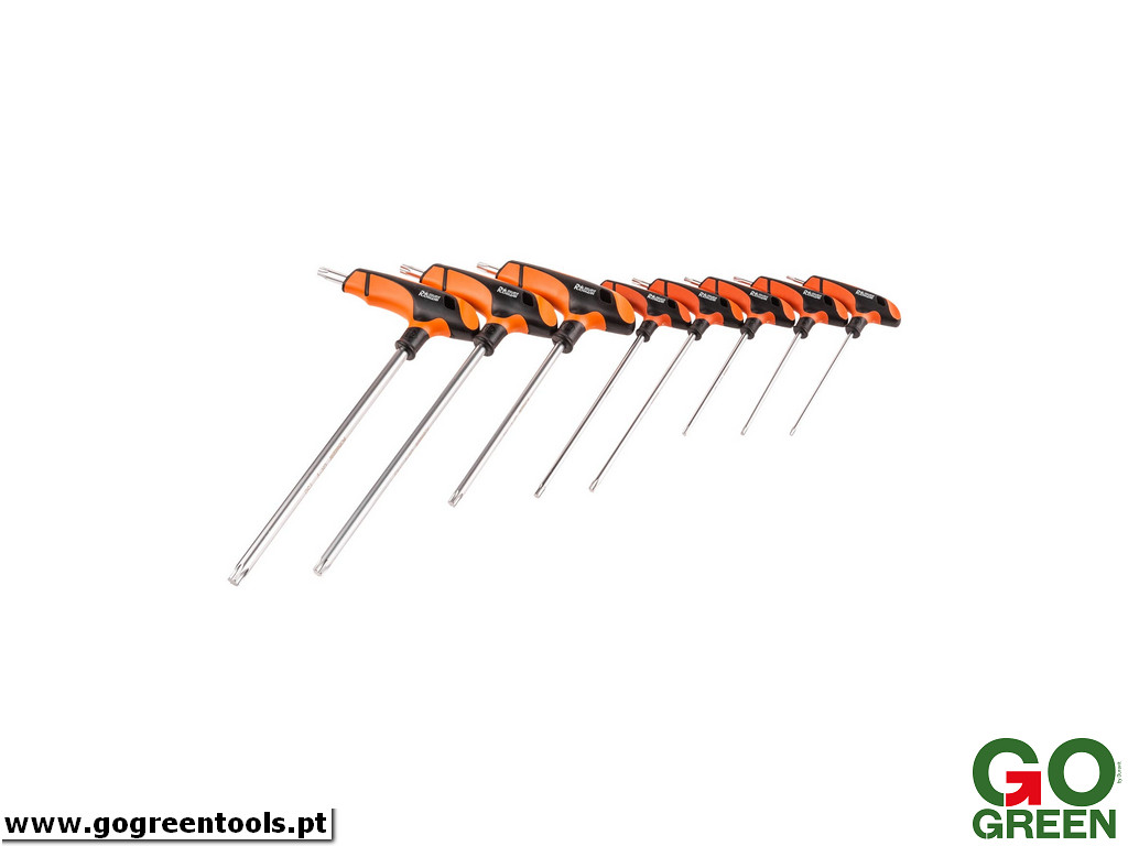 RICHMANN_C6606_2_www.gogreentools.pt_.jpg