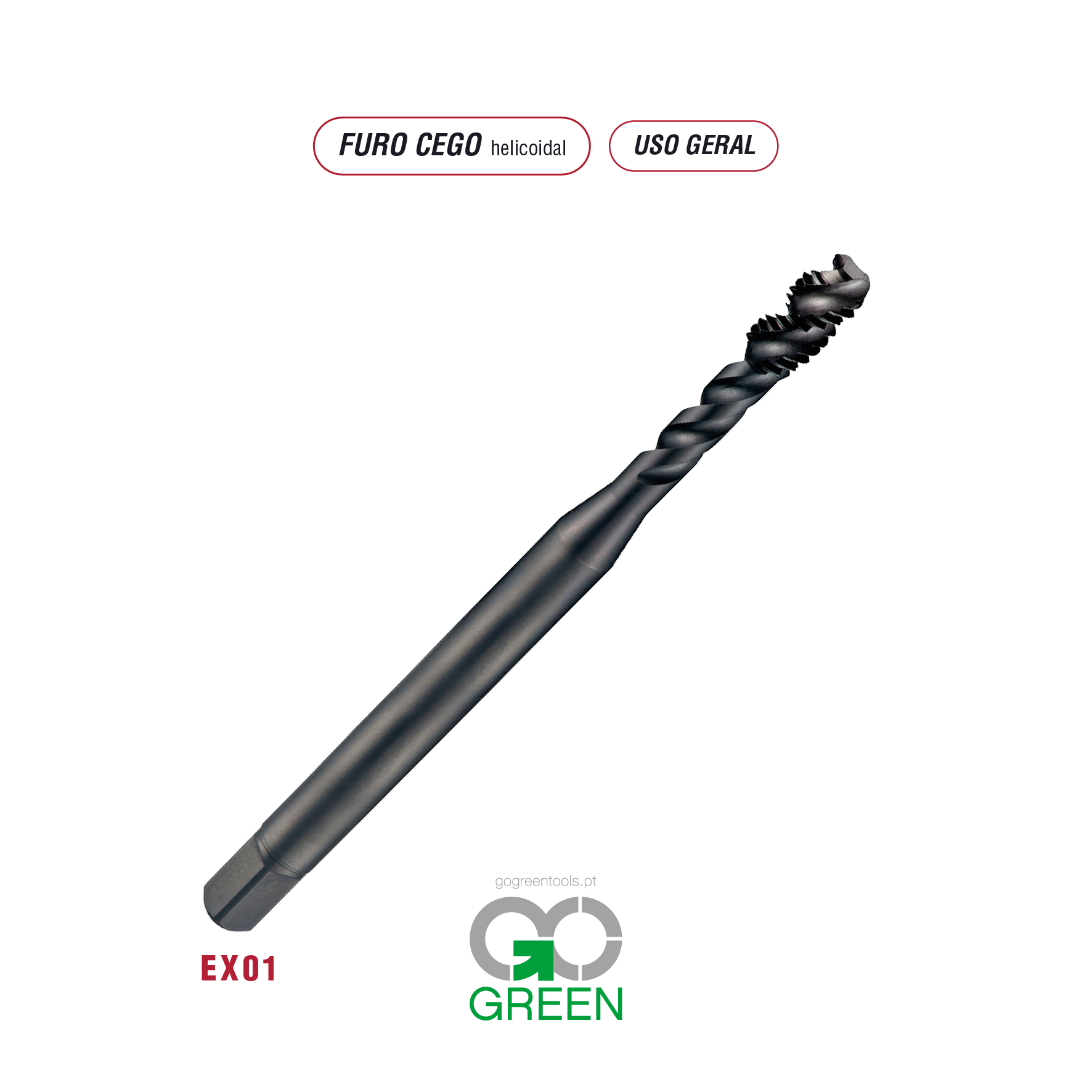 07ex01m20_gogreentools.pt_.png